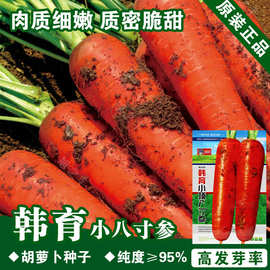 胡萝卜种子胡萝卜籽批发萝卜种子萝卜籽蔬菜种子批发