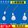 Liangte infrared human body regulatory sensor wide voltage LED induction switch probe factory