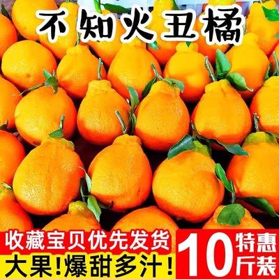 現貨醜橘新鮮醜柑橘子10斤當季孕婦水果蜜橘桔子非不知火醜八怪