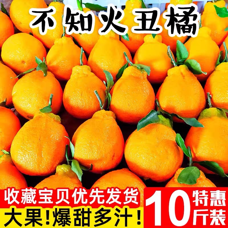 現貨醜橘新鮮醜柑橘子10斤當季孕婦水果蜜橘桔子非不知火醜八怪
