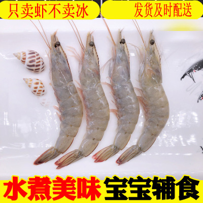 wholesale Ecuador Shrimp White shrimp Big Shrimp Imported Seafood Shrimp support One piece On behalf of