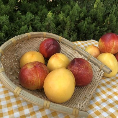 fresh Yellow nectarine+Red Nectarine Shuangpin 3]Season fruit Peach Season Full container Season
