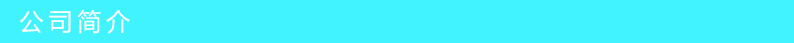 公司简介