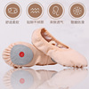 New style -free dance shoes, soft soles, practice ballet dance belly dance cat paw shape test dance shoes