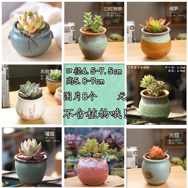 高颜值8个25.8元_副本