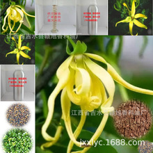 �S�����l������޹�ӝ�Ħ�ջ�Ʒԭ��ֲ���㾫�������m������ζ