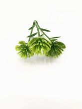 ���滨�辰��������ˮ����� ˮ�����쾰�b�Ʒ�[���ٻ�С�ݟ��N