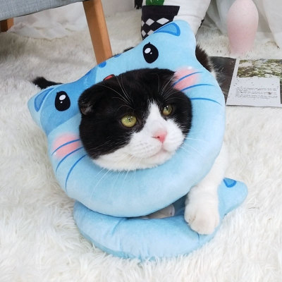 Elizabeth chokers  Kitty Dedicated Shame