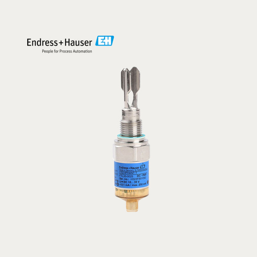 tuning fork Level Switch FTL20/50/21/31/51 Germany E+Enders House tuning fork Level switch