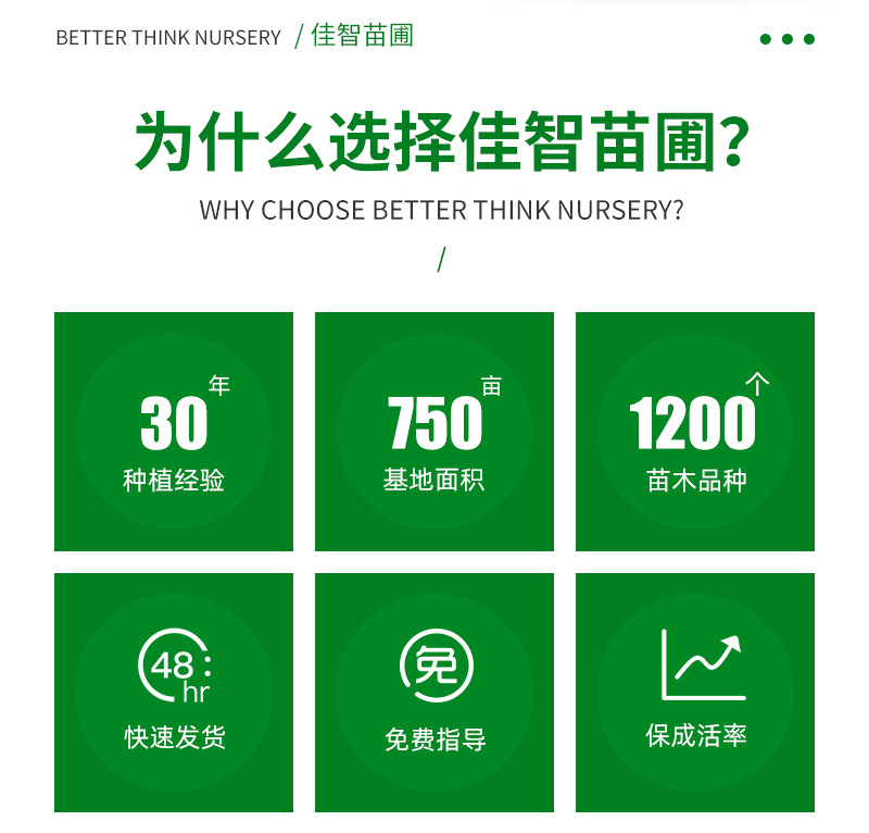 �ۻ��ҹ�-����_02