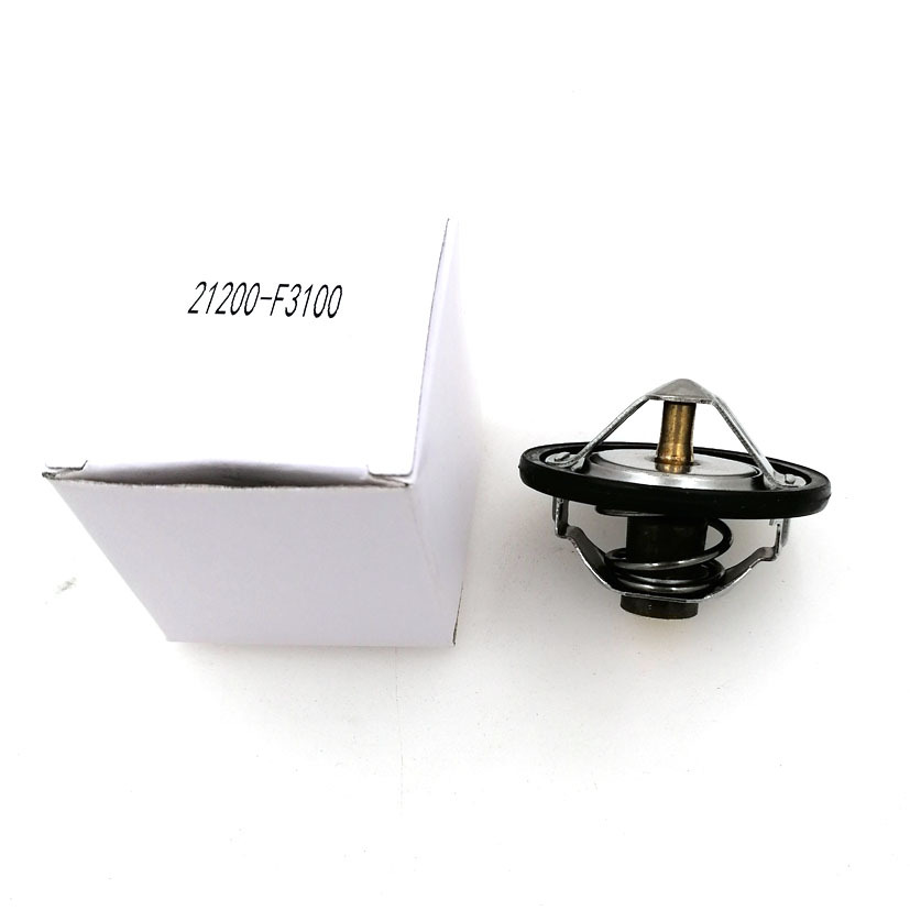 ���� ������ ��������ɣ ���������� ����21200-F3100 76.5��