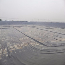 厂家生产防潮土工膜 耐腐蚀hdpe防渗膜 大型沼气池覆盖黑膜