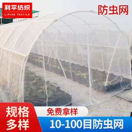 防虫网防蚊网 大棚蔬菜果园防虫网网罩加工批发 