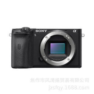 Sony Sony Alpha6600 A6600 ILCE-6600 подходит для формата Micro-Single APS-C