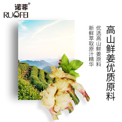 新品諾菲生薑滋養健發洗髮水清爽去屑洗髮男女