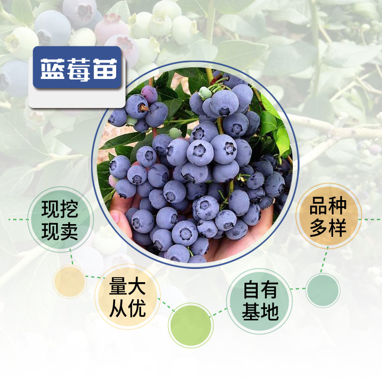 b5c1b6651cb56b20508e8ebadd2d62