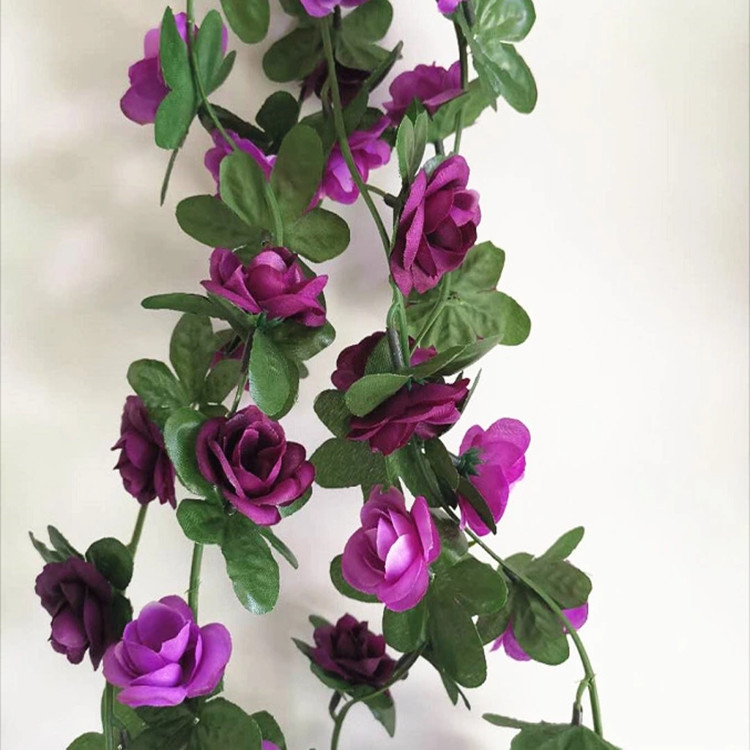 15377787210_249816958.jpg__副本