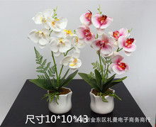 3dӡm滨Ӽb[辰ֲٻl