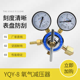 YQY-08上海减压器 4*25MPa 氧气减压器 减压阀 氧气表上海天川