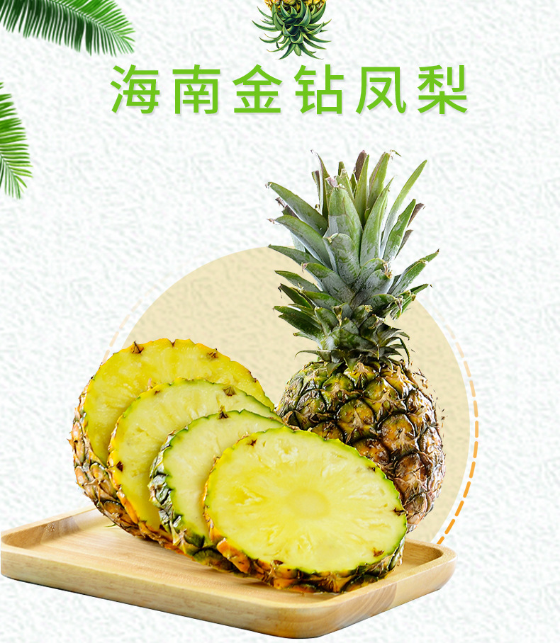 凤梨_01.jpg