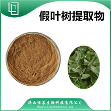 假叶树提取物10-1比例提取  量大从优 SC认证 水溶假叶树粉