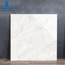 ɫʯɴu ꖵشu 800*800͏dذu ¿u