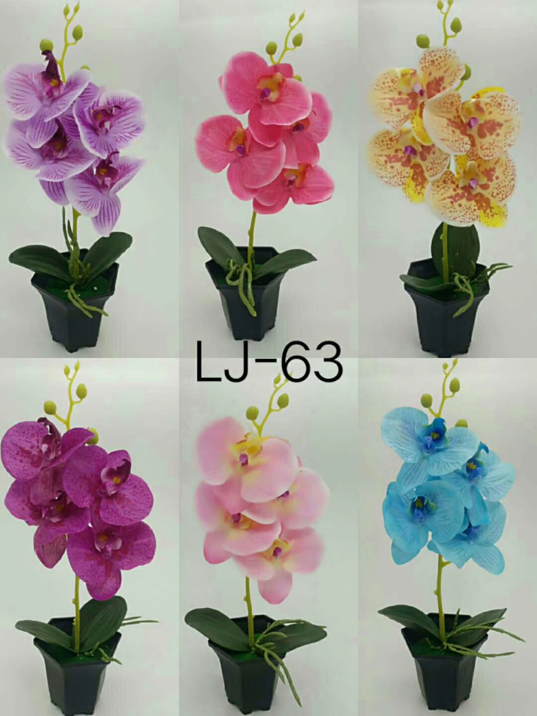 WeChat 圖片_20200704105408