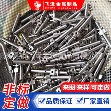 定位機芯軸 精密銷釘 微型電機軸 小電機軸芯 精密定位銷細小光軸