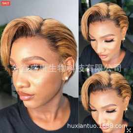 外贸新款非洲女士假发偏分黑棕色渐变短直发蓬松化纤发 hair wigs