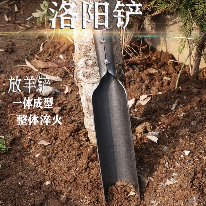 O1CN01hPJh9Y2KUWyMjB9c4_!!2185