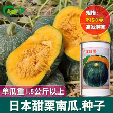 �����Ŵ����GƤ����ζС�ϹϷN�� �ձ������ϹϷN���r���ļ�