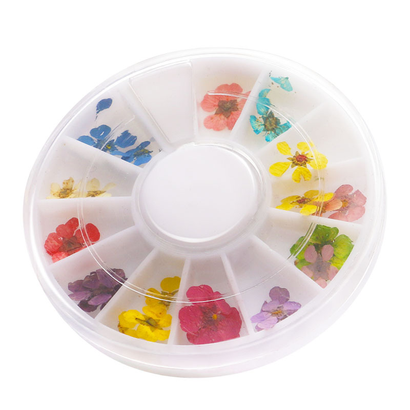 Disco de manicura flor seca 12 color japonés tridimensional natural pequeña flor seca manicura decoración disco pequeña flor seca