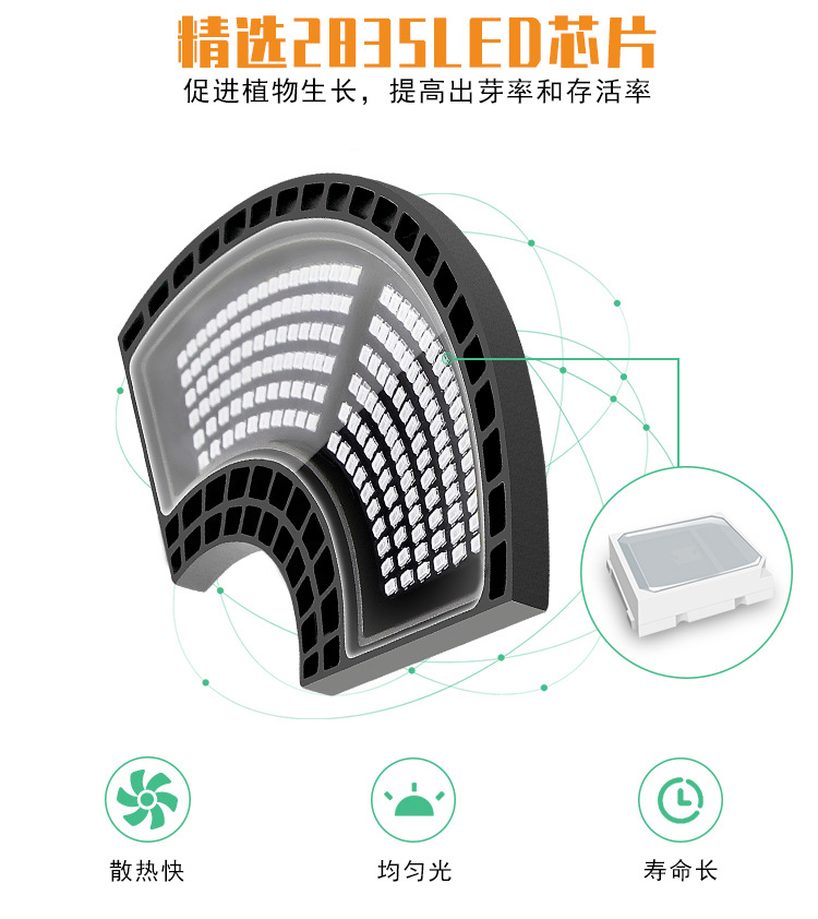 变形金刚-植物灯B款(阿里巴巴)-(红蓝灯珠-)详情页_08