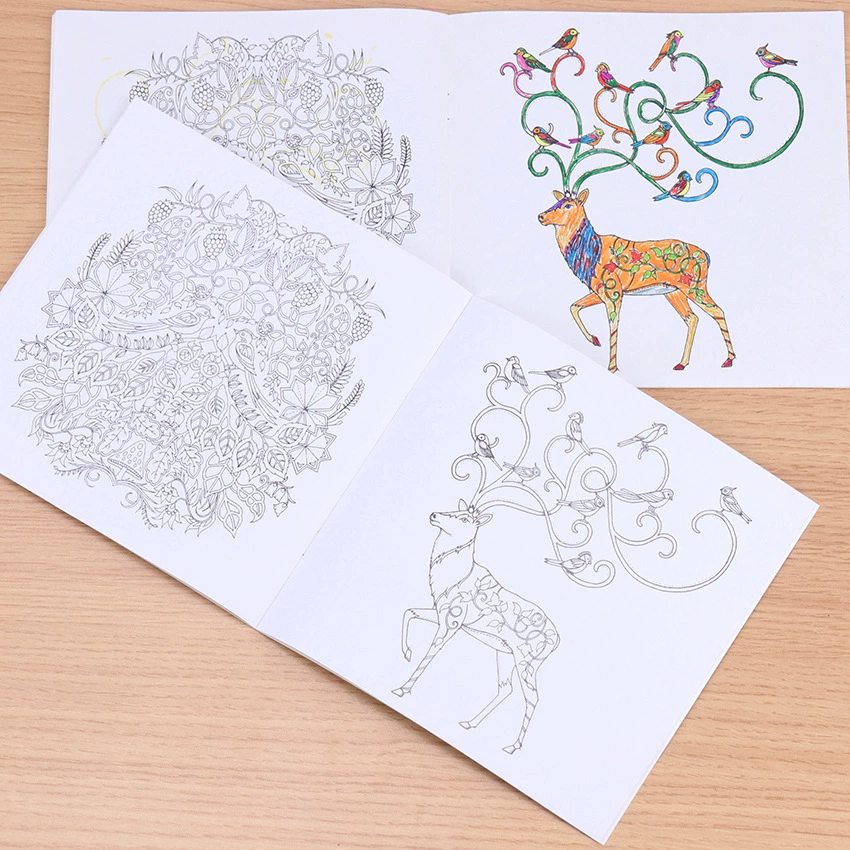 Coloring book set, anti‑stress illustrations, 18.5×18.5 cm, 24 pages, includes 12/24‑color lead options