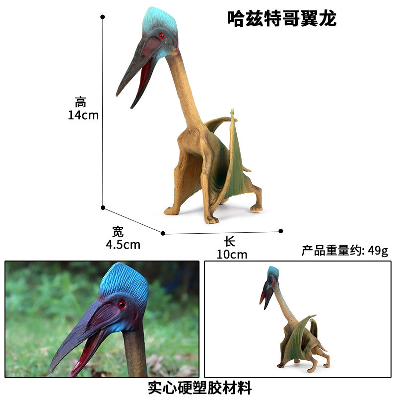 PL124-137哈兹特哥翼龙
