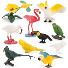 跨境仿真迷你鸟类套装模型儿童科教认知鹦鹉蜂鸟火烈鸟摆件玩具