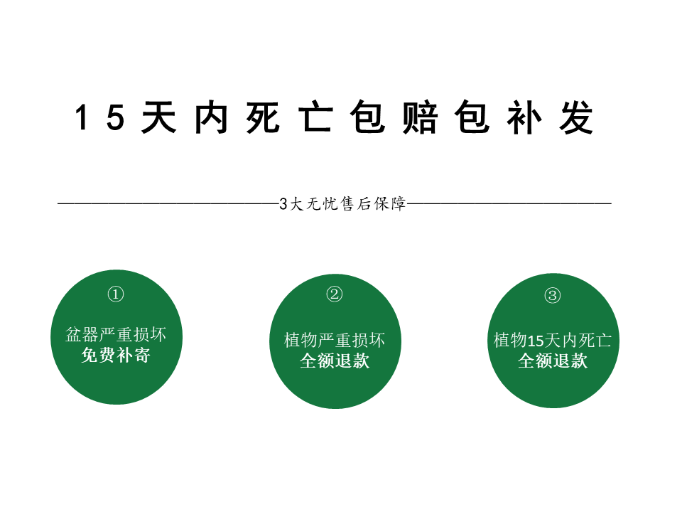 新建 Microsoft PowerPoint 文档