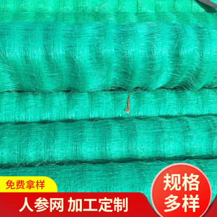 ֲ���˅��Bֳ�W ����ֲ�����ٷ������W �Gɫ����ϩ���o�W�� ��
