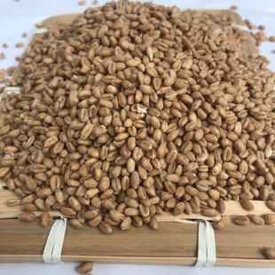 �S�ҹ������ԭ��С�� С����Ƥ С���� ֲ������� ����r��