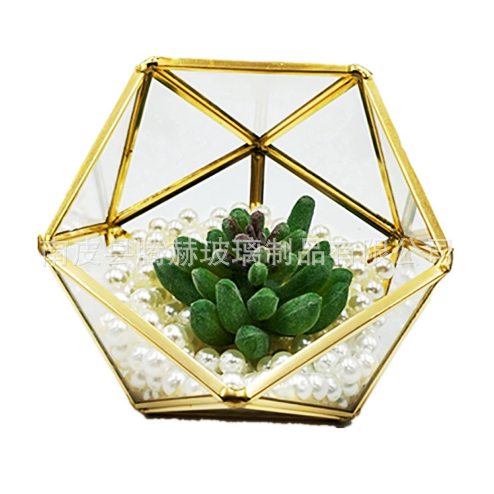 透明玻璃金色铜条几何植物多肉玻璃花房 花罩瓶器微景观花盆花房