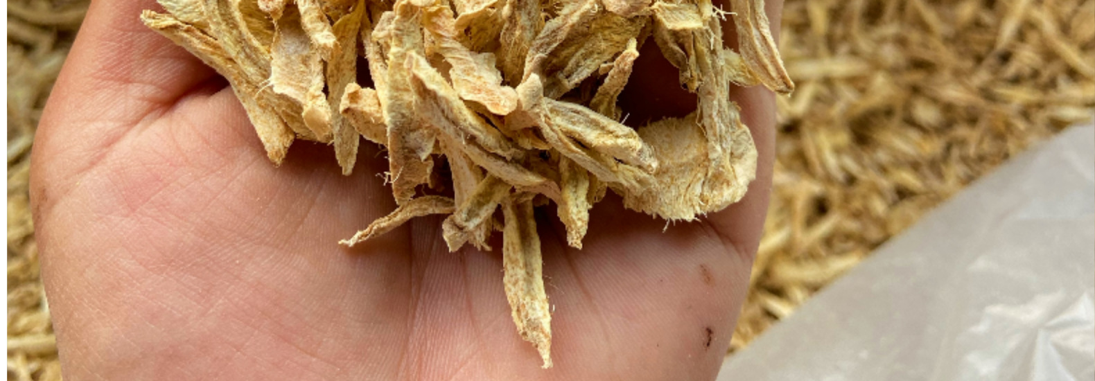 新货姜丝干姜丝云南小黄姜丝姜个姜片散装500克批发中药材花草茶-阿里巴巴