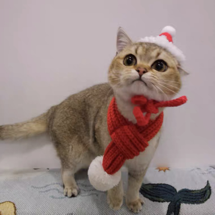 Festival Occasion yarn Material Fashion Yarn Christmas Color Block Pet Scarf