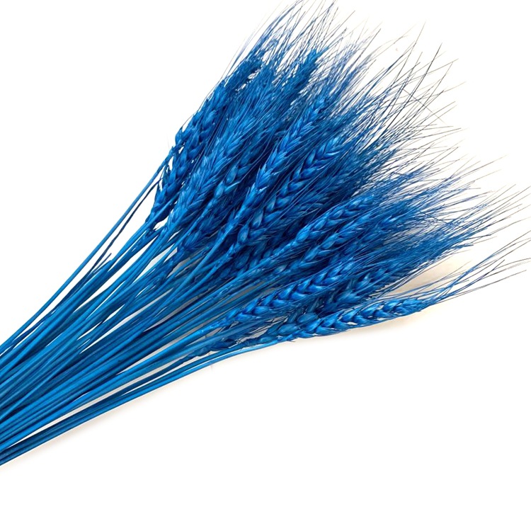 微信图片_20200322105601