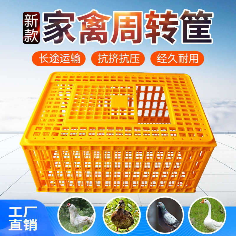 通达塑料鸡笼运输笼成鸡周转箱鸡鸭鹅兔笼鸽笼家用鸡筐加厚鸡笼子