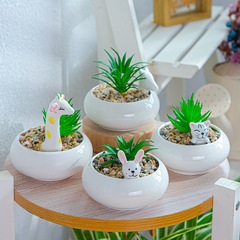 Manufacturer of succulent flower pots, creative small animal succulent flower pots, personalized simple indoor white porcelain pots, ceramic pots