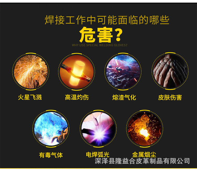 12561832942_881126482