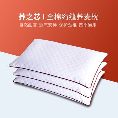厂家直销全棉荞麦枕头双人保健白色家居酒店宾馆布草枕芯批发定制|ru