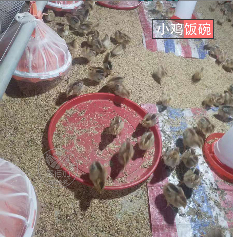 开食盘DA详情页 (6).jpg