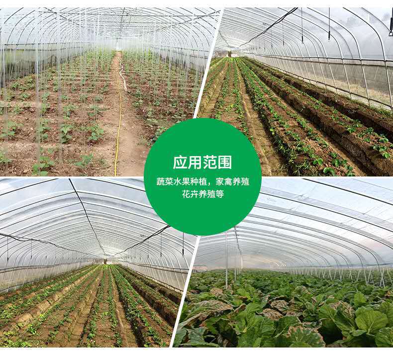 f6ff44dcf637b448554c6b631400e7