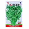 Four Seasons Coriander Seeds Farm Vegetables Potted Fiber Fiber Fiber Soft and Fragrant Crispy Crispy Vegetable Seeds